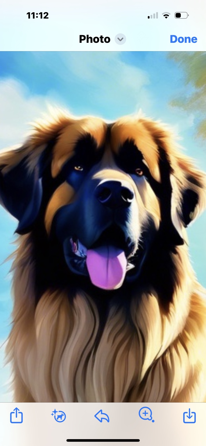 We love big dogs too